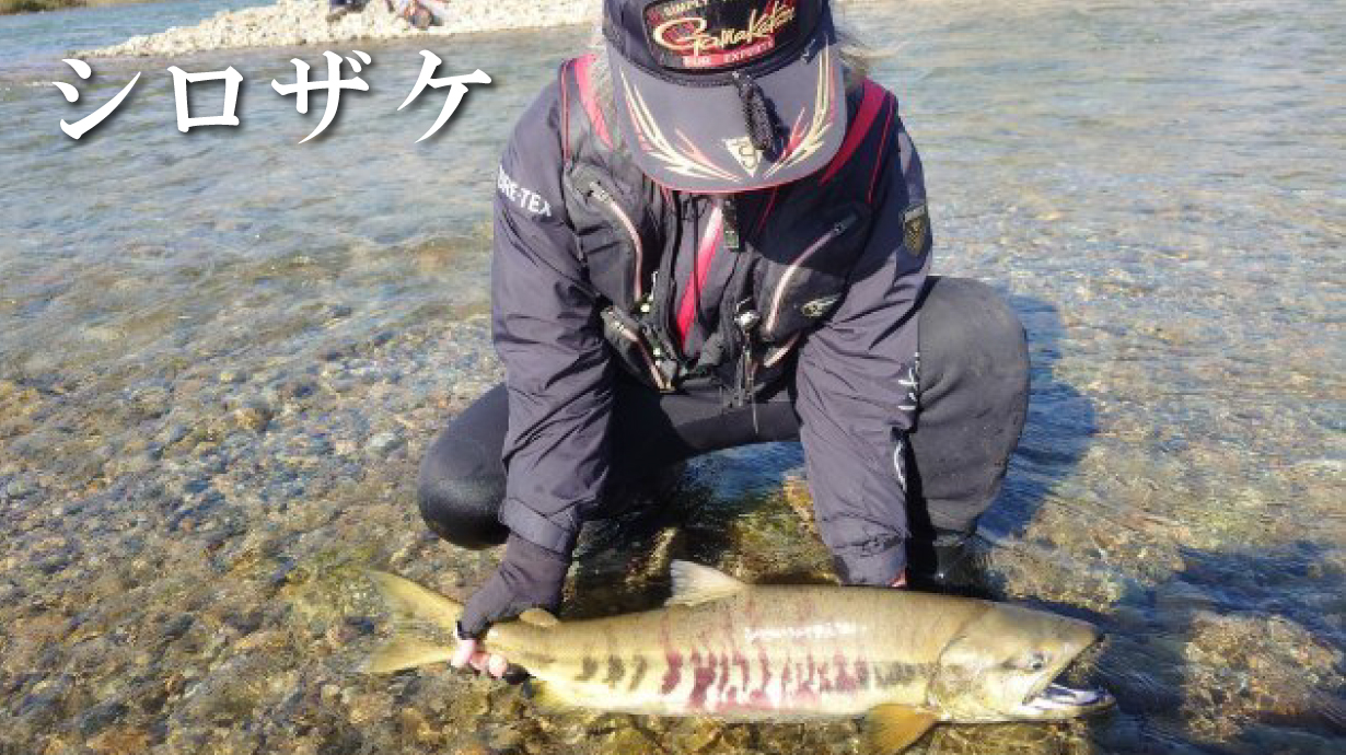 ピステスーツ GM3627 | がまかつ