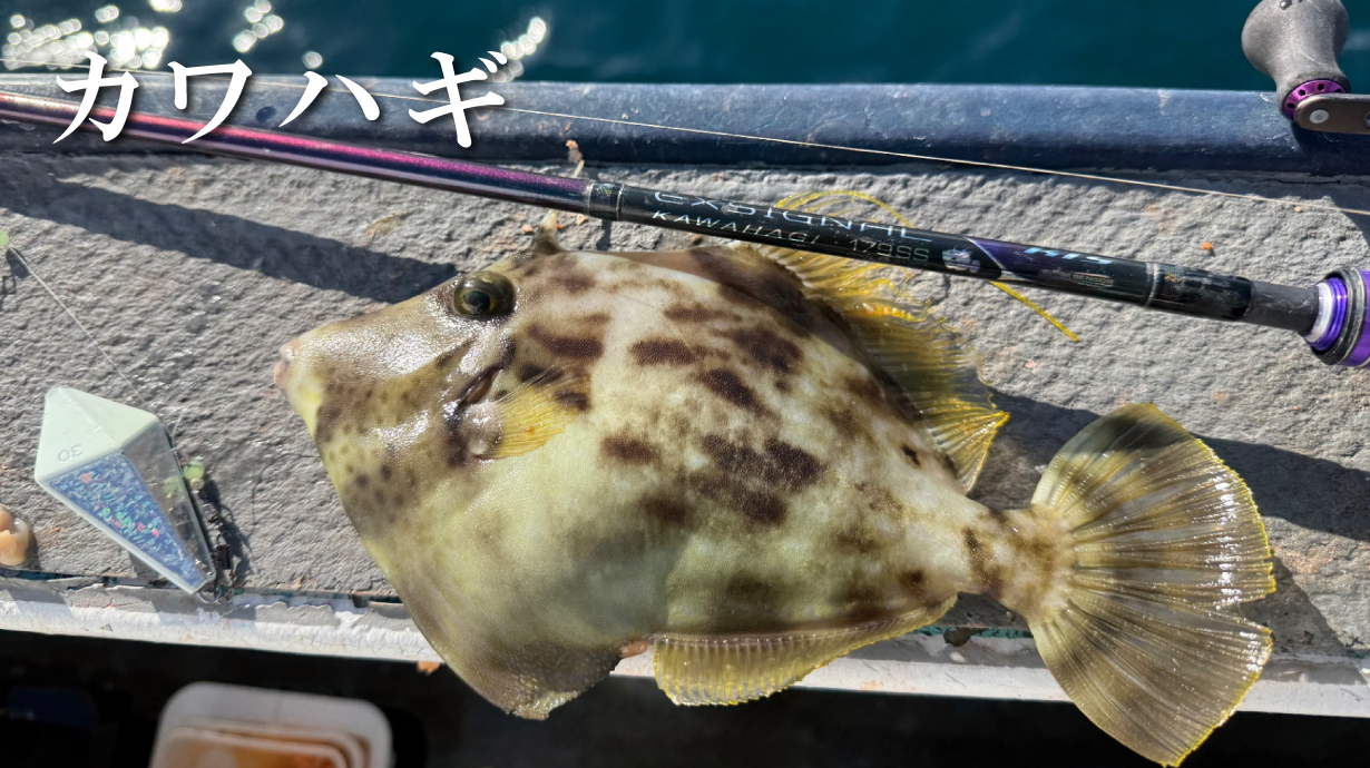 ゴアテックスインフィニアムTM レインスーツ GM3685 | がまかつ