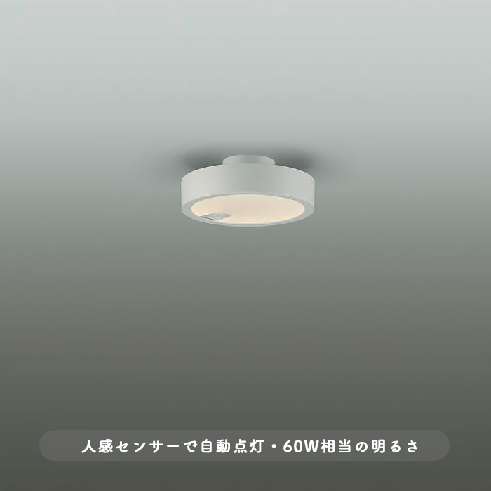 人感センサー付 シーリングライト トイレ 収納｜60W相当｜照明の