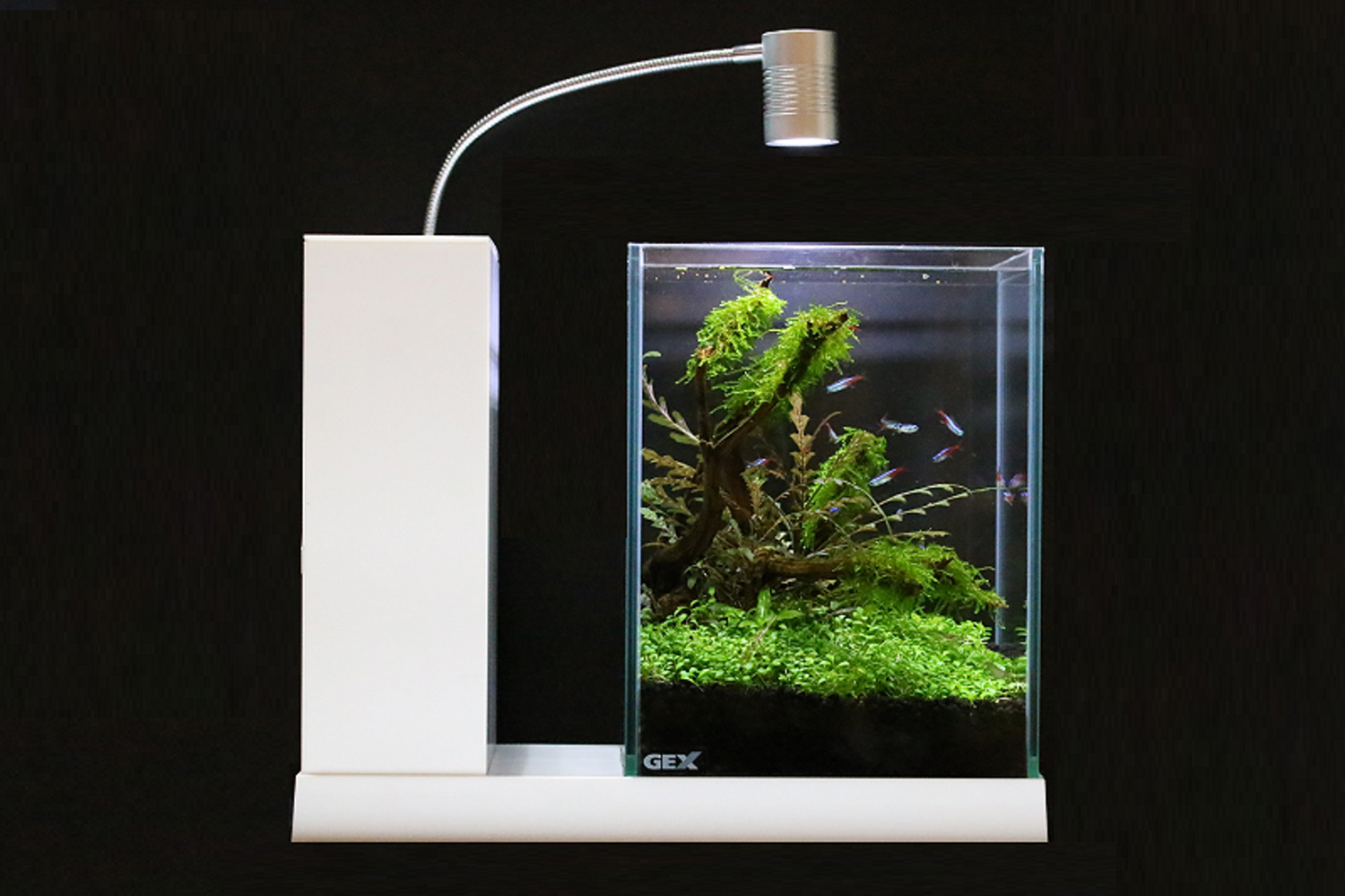 GEX AQUA-U ホワイト 水槽 AQUA-U | 新機構でレイアウト自在な水槽