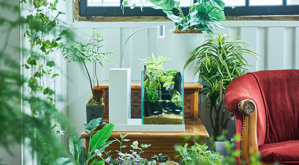 AQUA-U | 新機構でレイアウト自在な水槽 | ジェックス