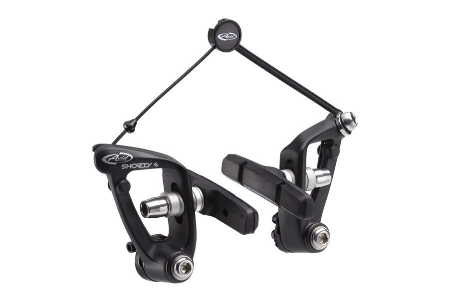 SHORTY 4 | AVID
