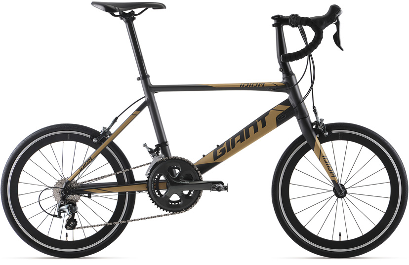 2020 GIANT Bicycles | IDIOM 2