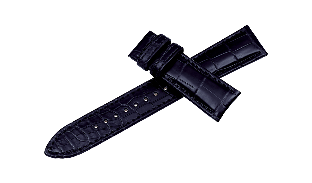 XGL00520.png
