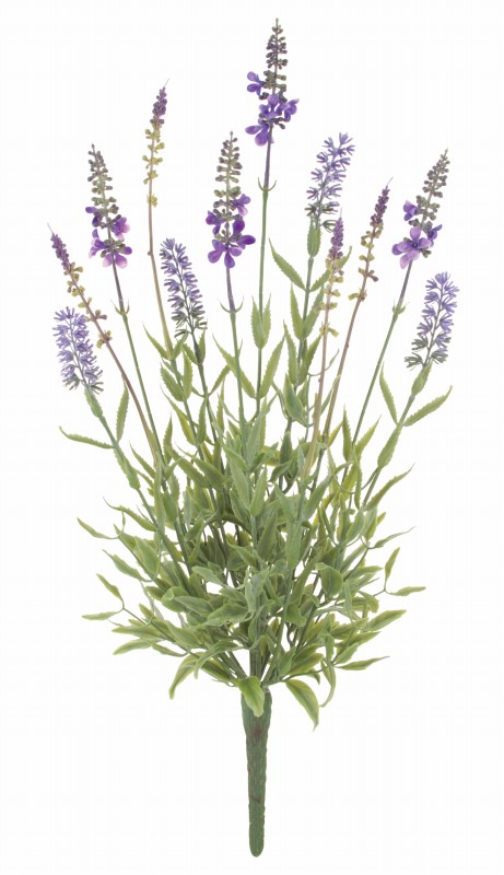 ラベンダーブッシュ x 12(プラスチック)（*）（商品詳細）| 株式会社ドガ