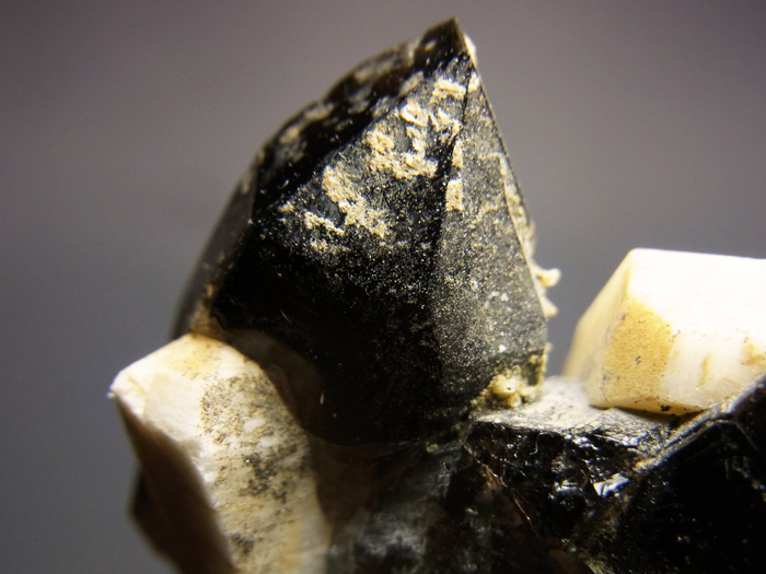岐阜県蛭川田原産 黒水晶＆微斜長石 (Morion & Microcline / Japan