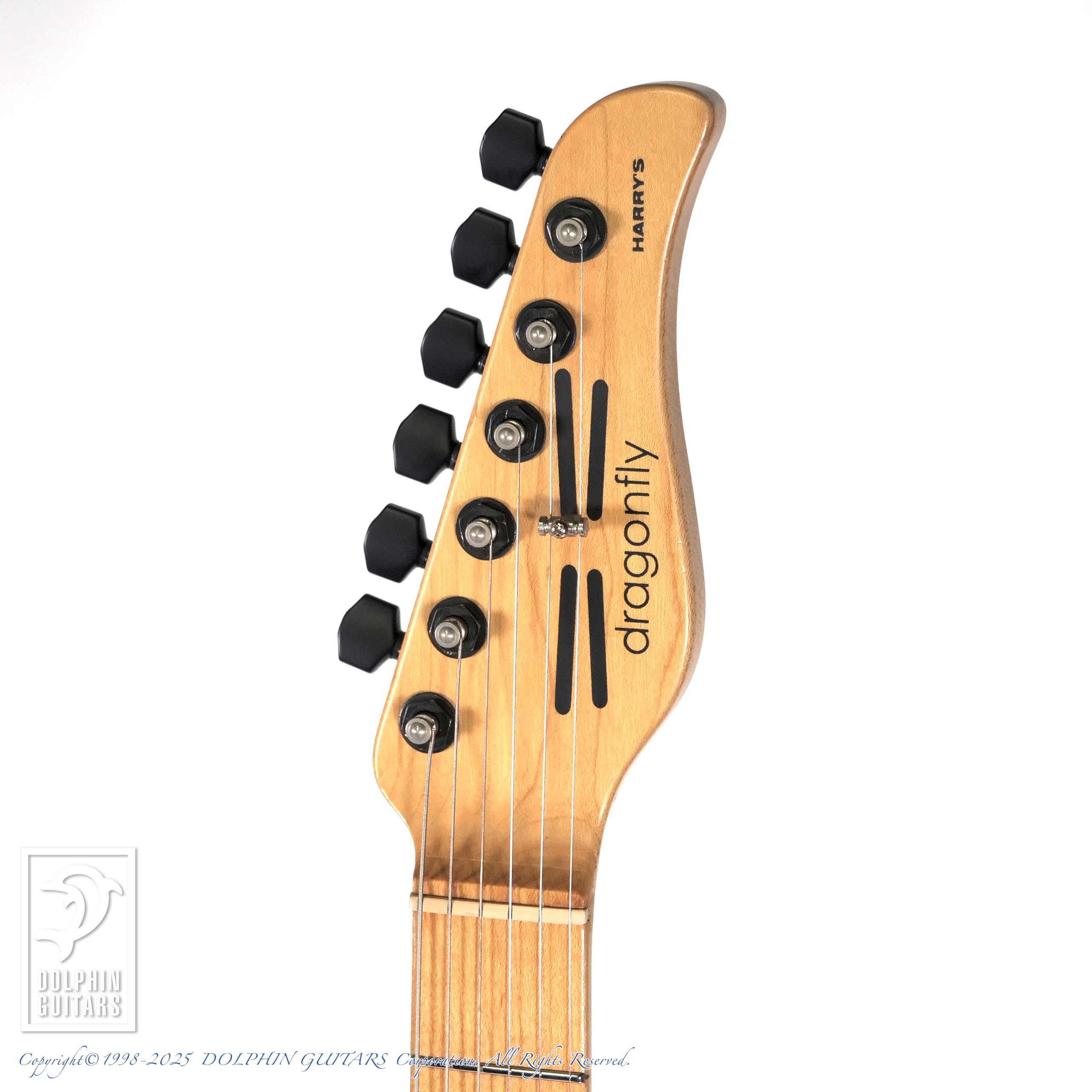 dragonfly HI STA |ドルフィンギターズ