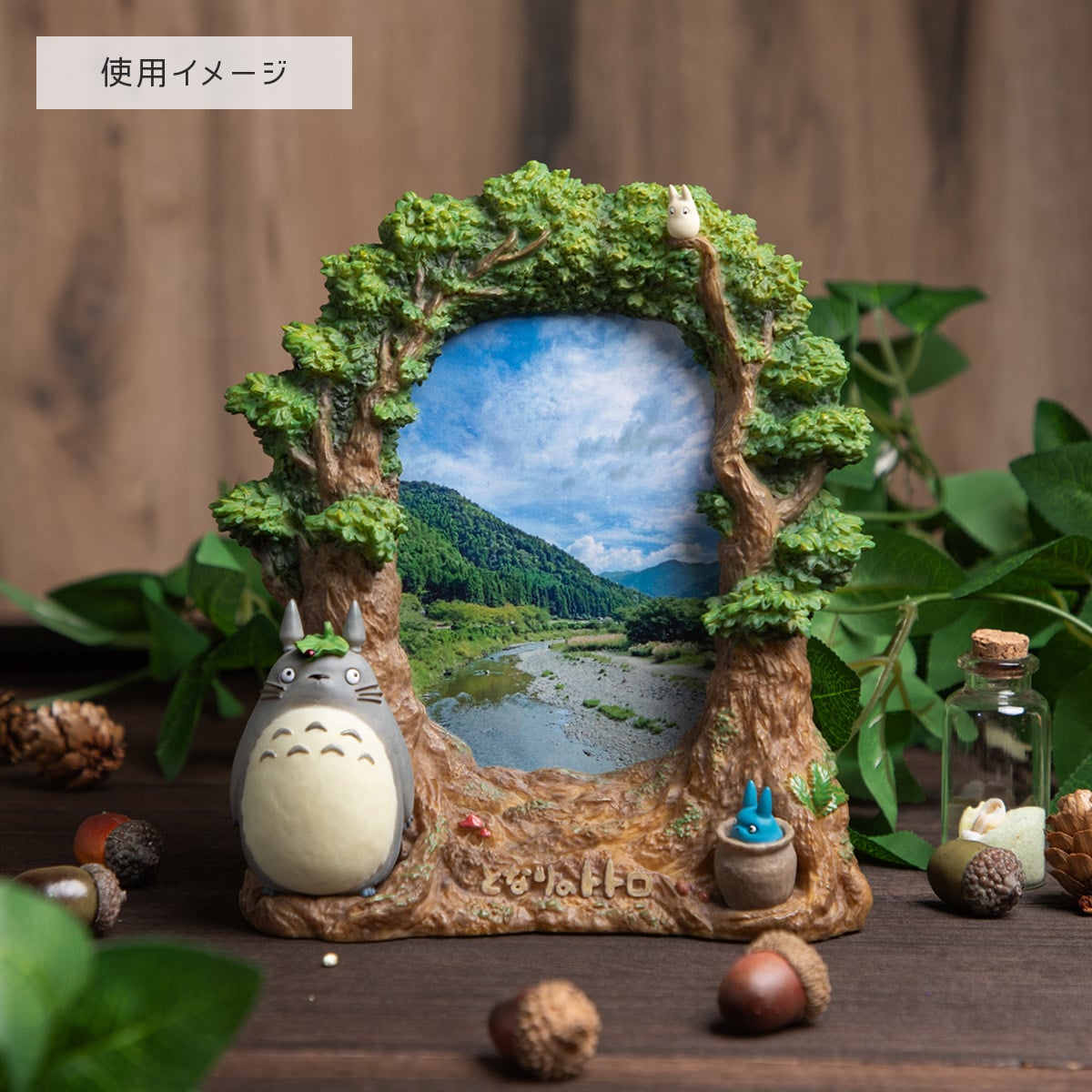 となりのトトロ フォトフレーム トトロの森 | どんぐり共和国そらのうえ店