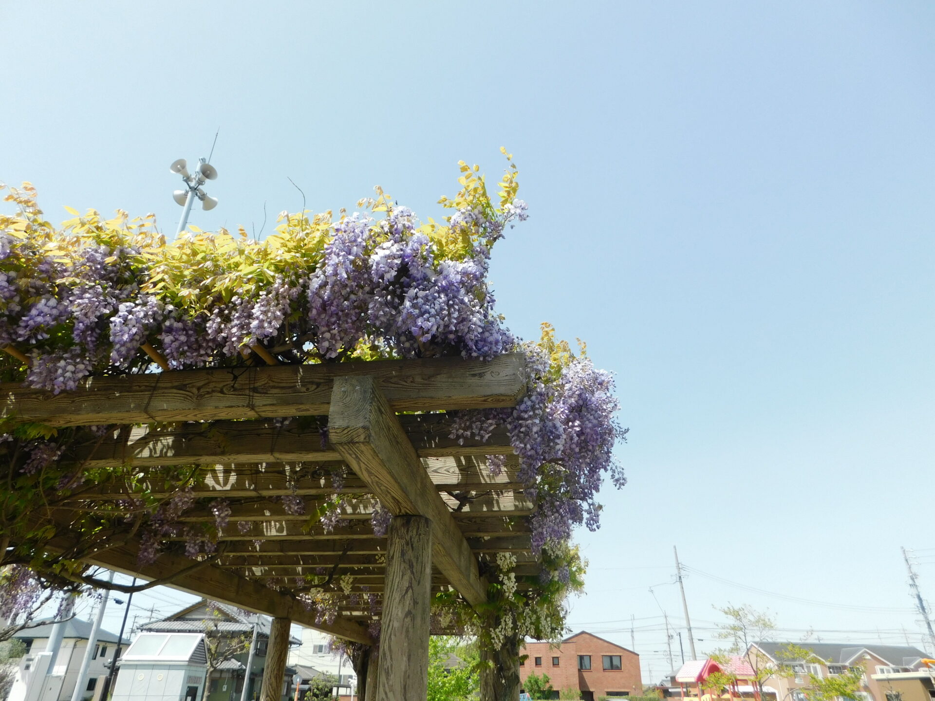 寺津1号公園 | 推しの街、西尾市のいいところ！｜西尾市の魅力を発信中