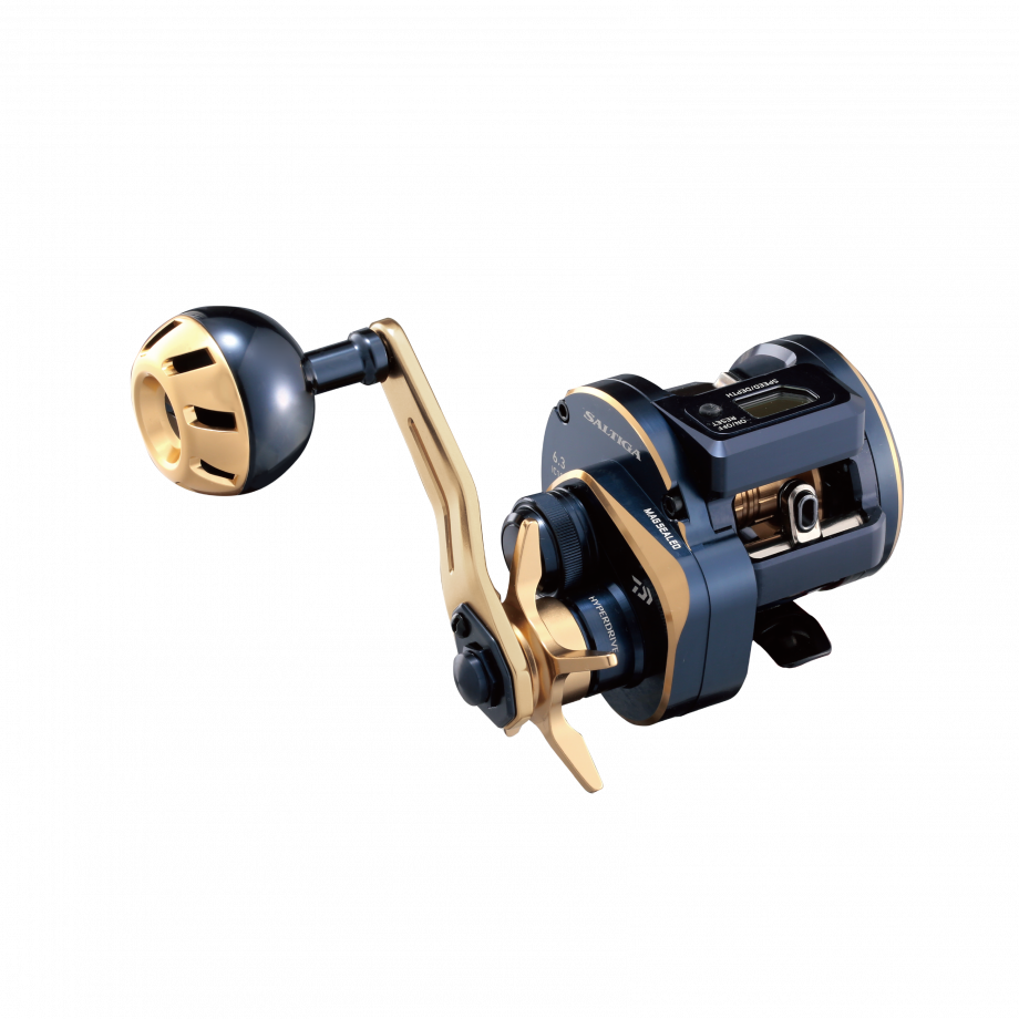 SALTIGA IC 300-DH ボーンラッシュ1号400m ZGOFJYQJ PLAT⁄daiwa