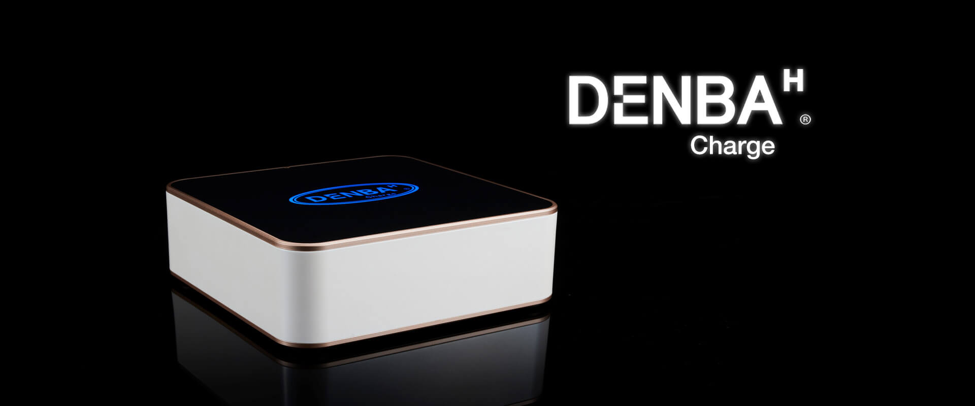 DENBA Health デンバヘルス スタンダードタイプ デンバヘルス