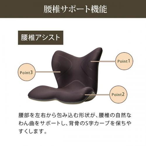 デンキチWeb / MTG エムティージー スタイルプレミアム ブラウン Style
