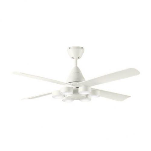 デンキチWeb / 大光電機 DAIKO LEDシャンデリア DXL-81358
