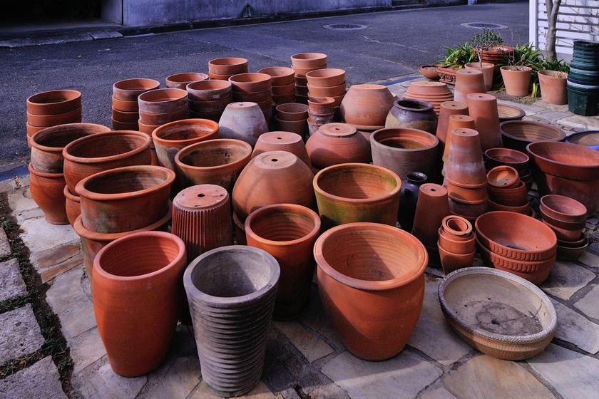 僕のお気に入りのテラコッタ鉢コレクション - 「風景」をつくる