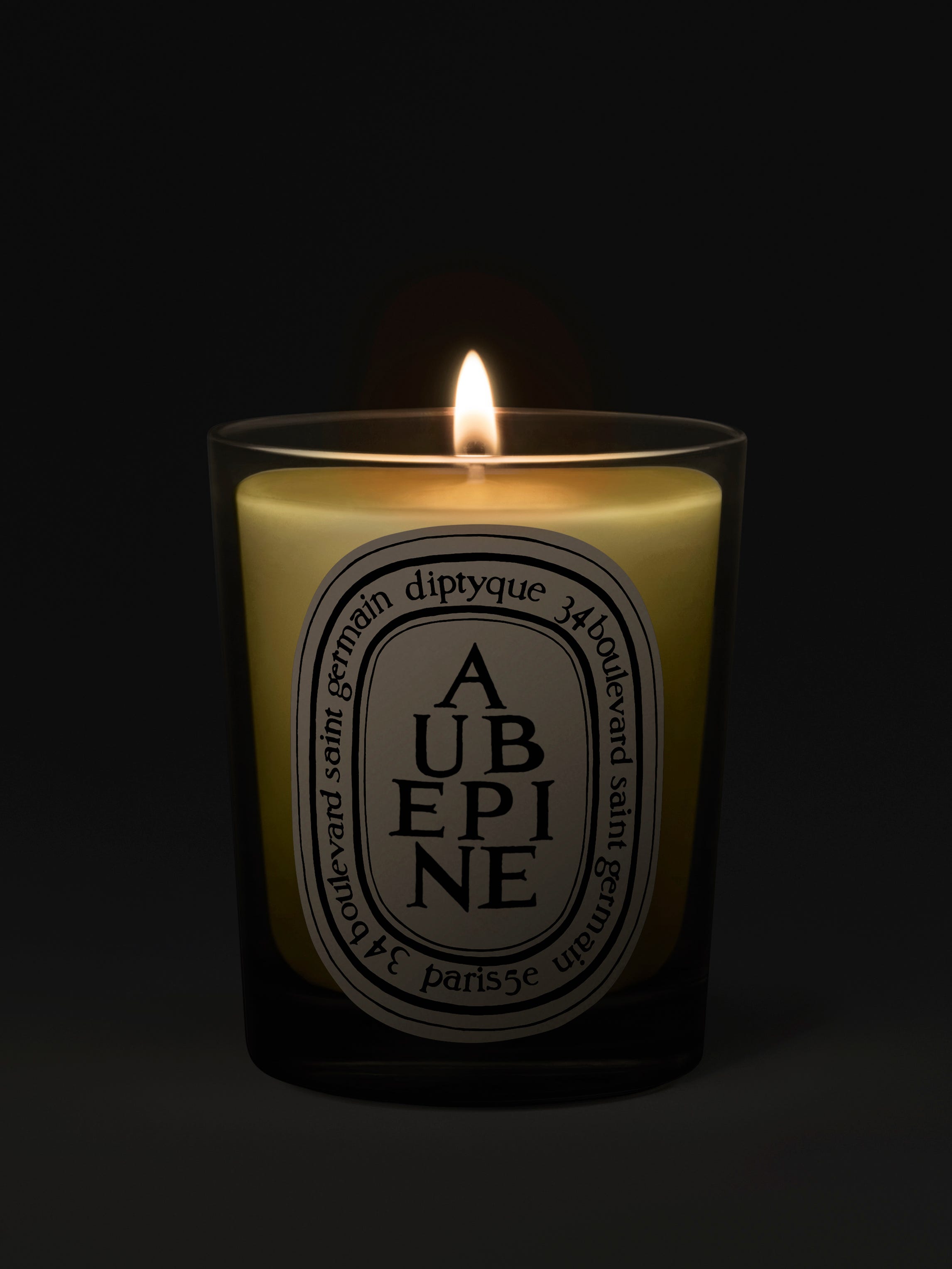 diptyque MUSC & CITRONNELLE キャンドル 2個セット diptyqueの
