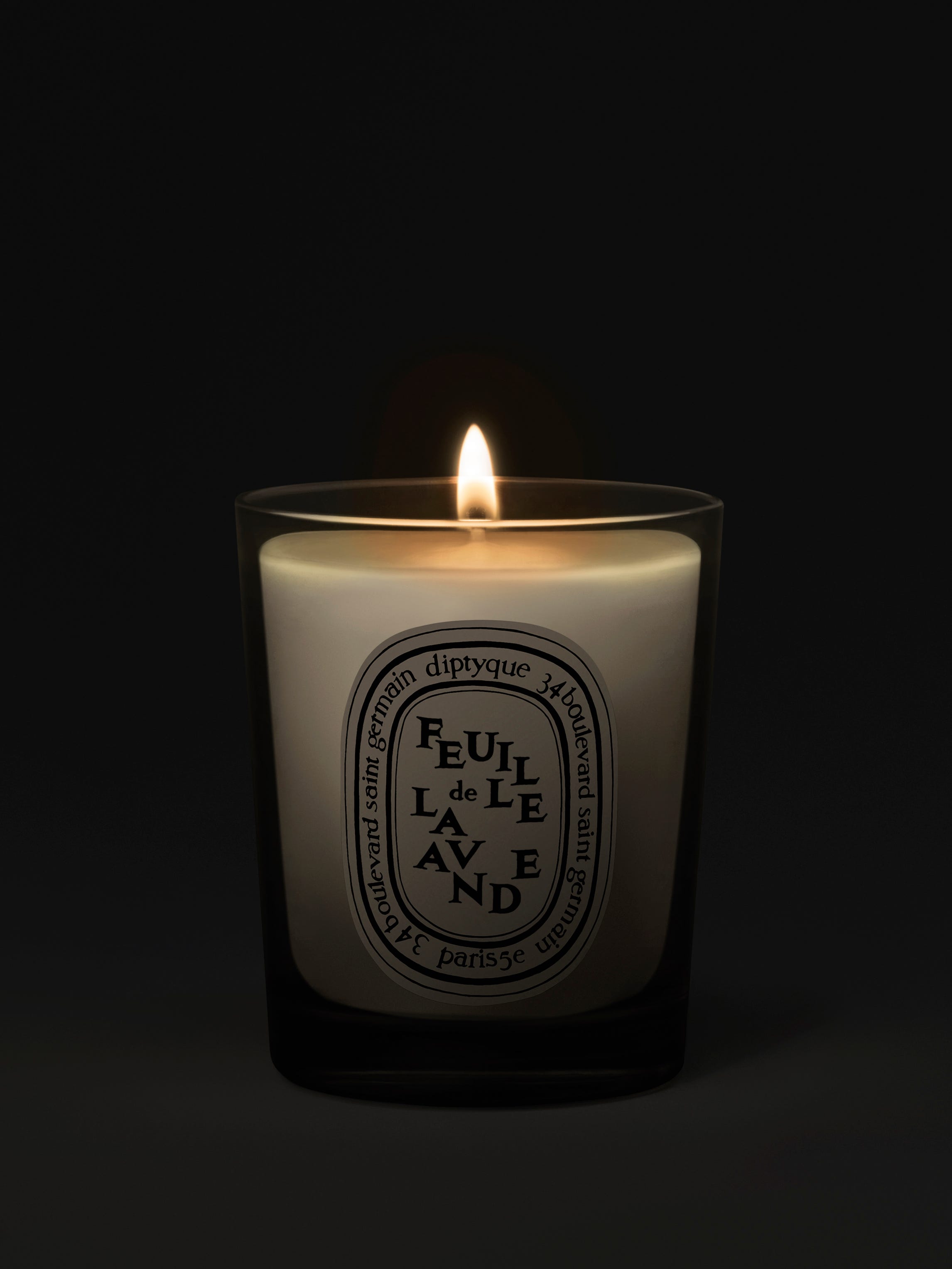 Feuille de Lavande (Lavender Leaf) - Small candle | Diptyque Paris