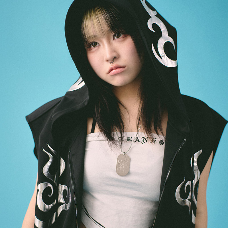 GALFY(ガルフィー) “チーマーノースリパーカー” - DISSIDENT WEB SHOP