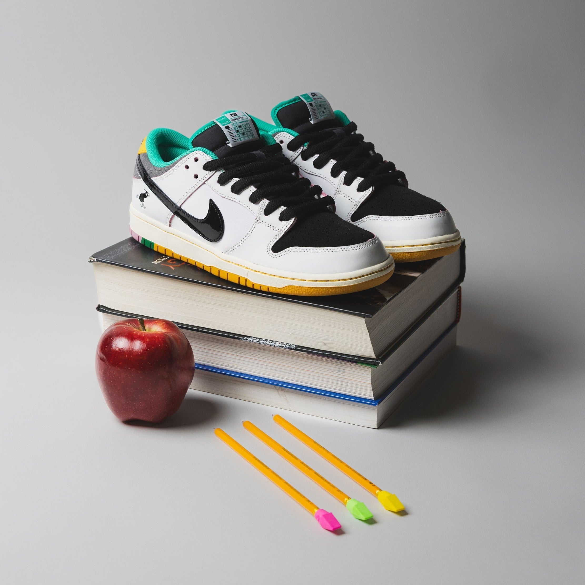 Nike SB x CSEF Dunk Low Pro – Drift House