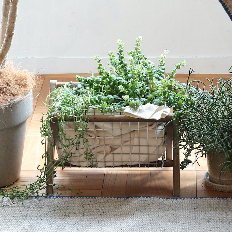 DULTON ONLINE SHOP | MAGAZINE RACK FIR WOOD(FIR WOOD): ホーム用品