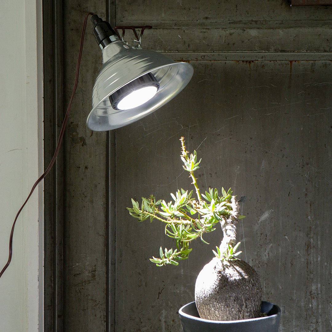 DULTON ONLINE SHOP | ALUMINUM CLIP LAMP M ALUMI(M ALUMI): 家具