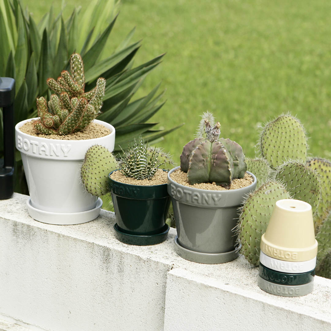 DULTON ONLINE SHOP | BOTANY POT 3 BEIGE(3号 BEIGE): ガーデン