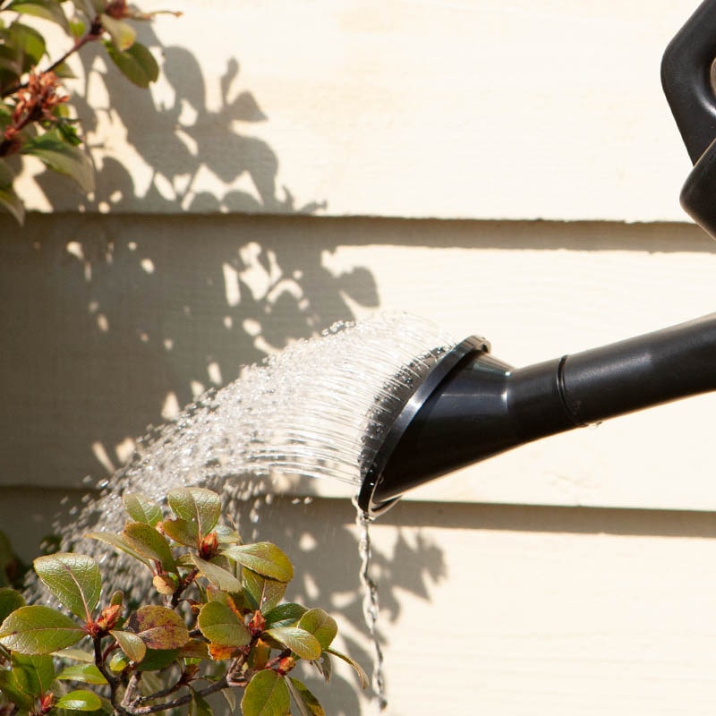 DULTON ONLINE SHOP | WATERING CAN 5L: ガーデン & アウトドア