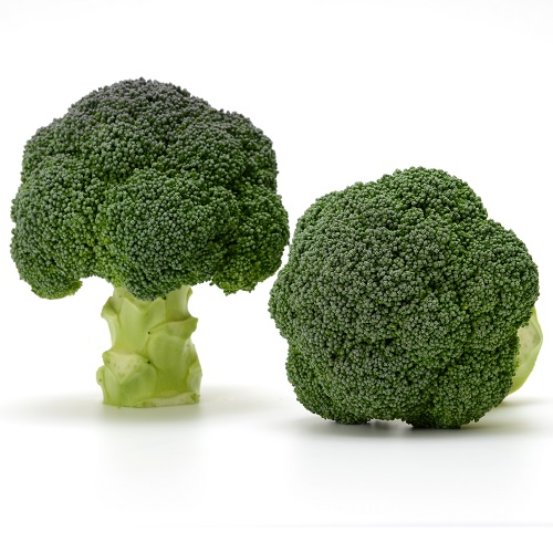 れいな (MKS-B106)[ブロッコリー] - e-種や｜国内最大級の野菜種・花種