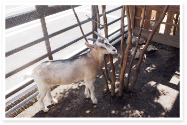 真庭あぐりガーデン - 津山瓦版