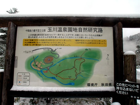 玉川温泉岩盤浴に通えないあなたへ。151名驚きのお客様の声が証明