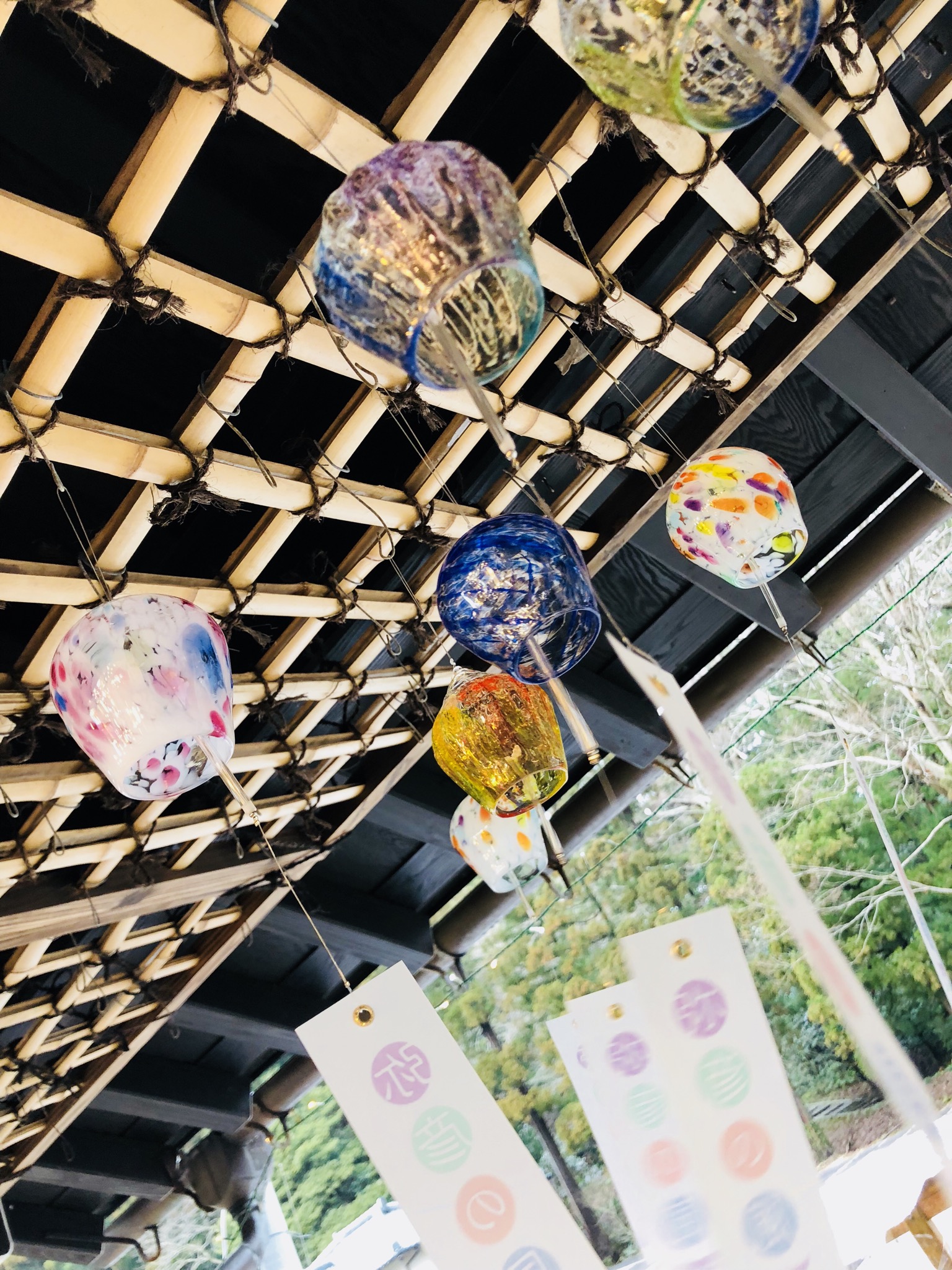 TAKU GLASS | 買う | 弥彦観光協会公式サイト／やひ恋