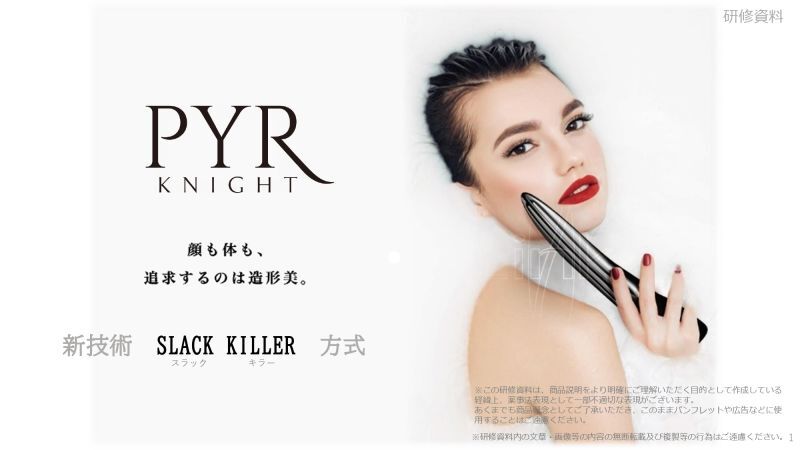 PYR BRUSH 美容器具セット PYR ブラシ セット 美容家電 ボーナスストア