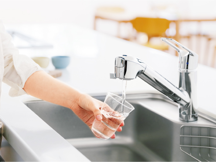 蛇口一体型浄水器 コンバージェンス JK106シリーズ takagi ekrea Parts