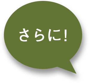 モイスチャライザー｜商品情報｜株式会社エリナ