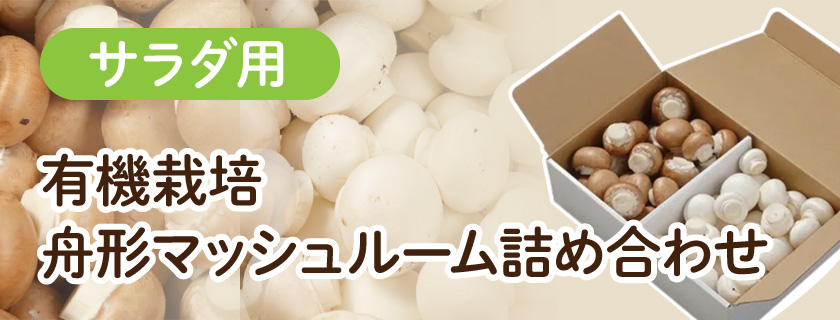 天才きのこ『マッシュルーム』を日本中の食卓へ｜舟形マッシュルーム