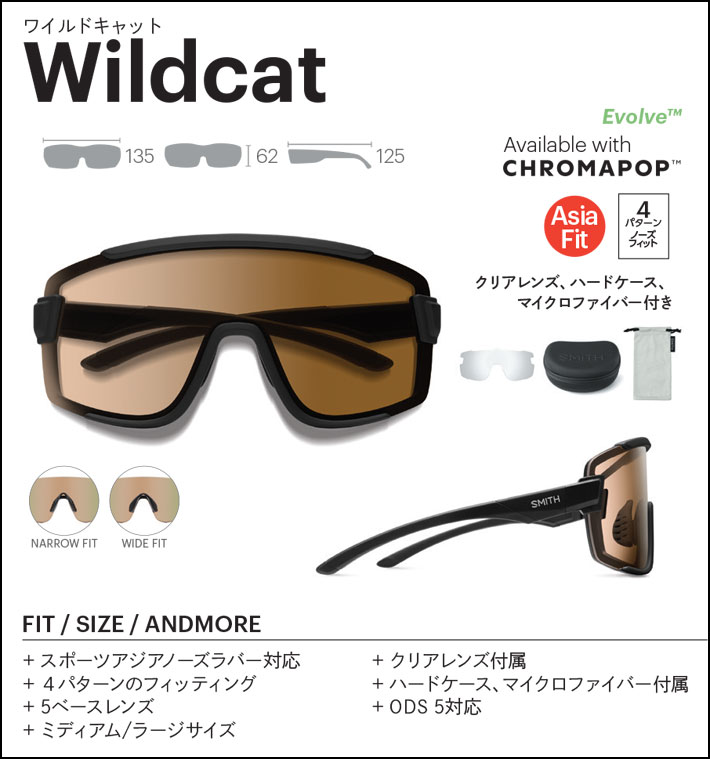 SMITH スミス サングラス [Wildcat ワイルドキャット] Asia Fit
