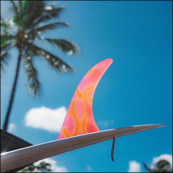 店内ポイント20倍中!!] FCS2 FIN フィン ロングボード KELIA MONIZ PG