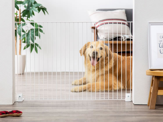 アイリスオーヤマ ペットフェンス マットホワイト P-SPF-96 通販