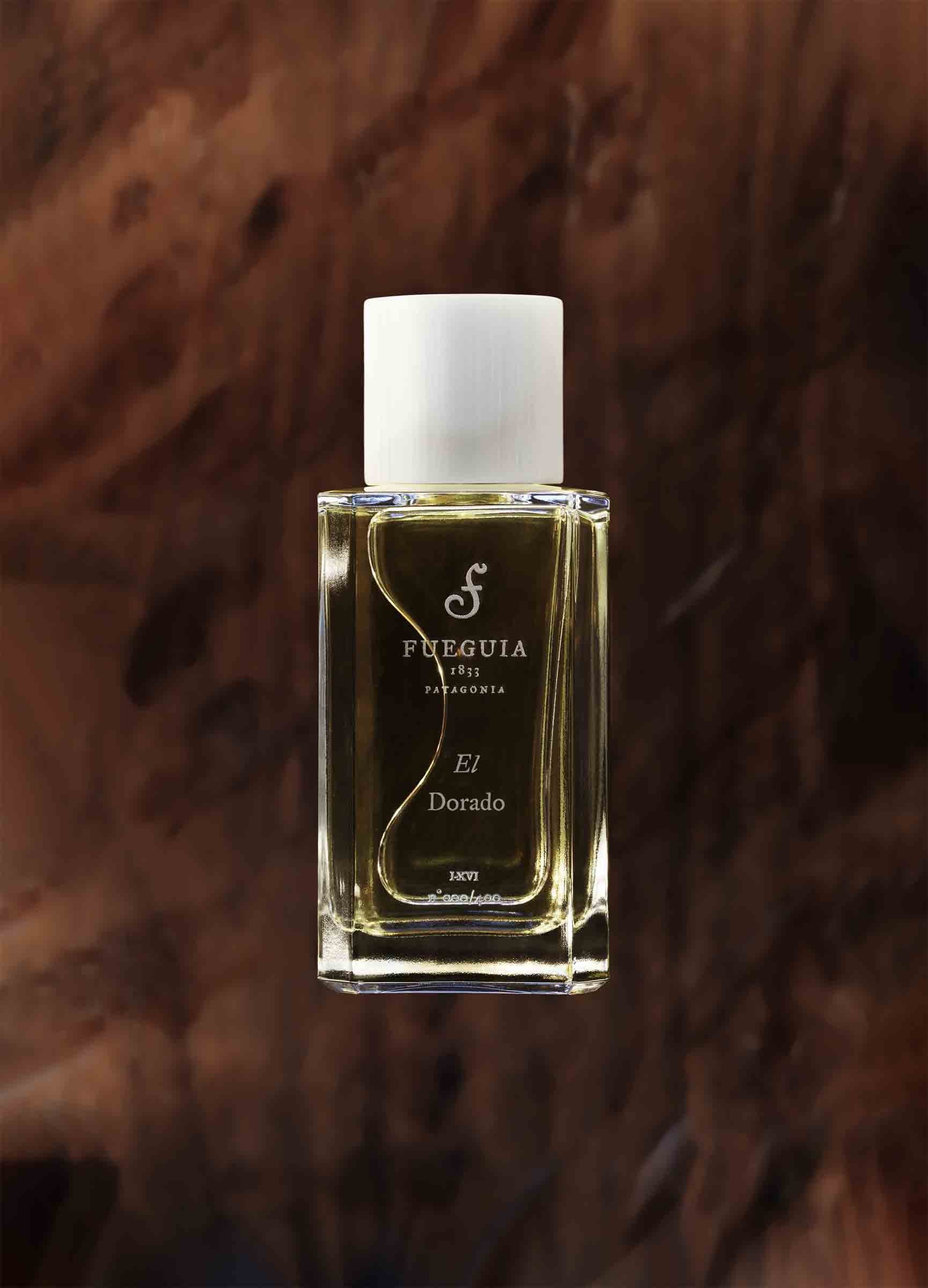 fueguia1833-lecave-vintage-