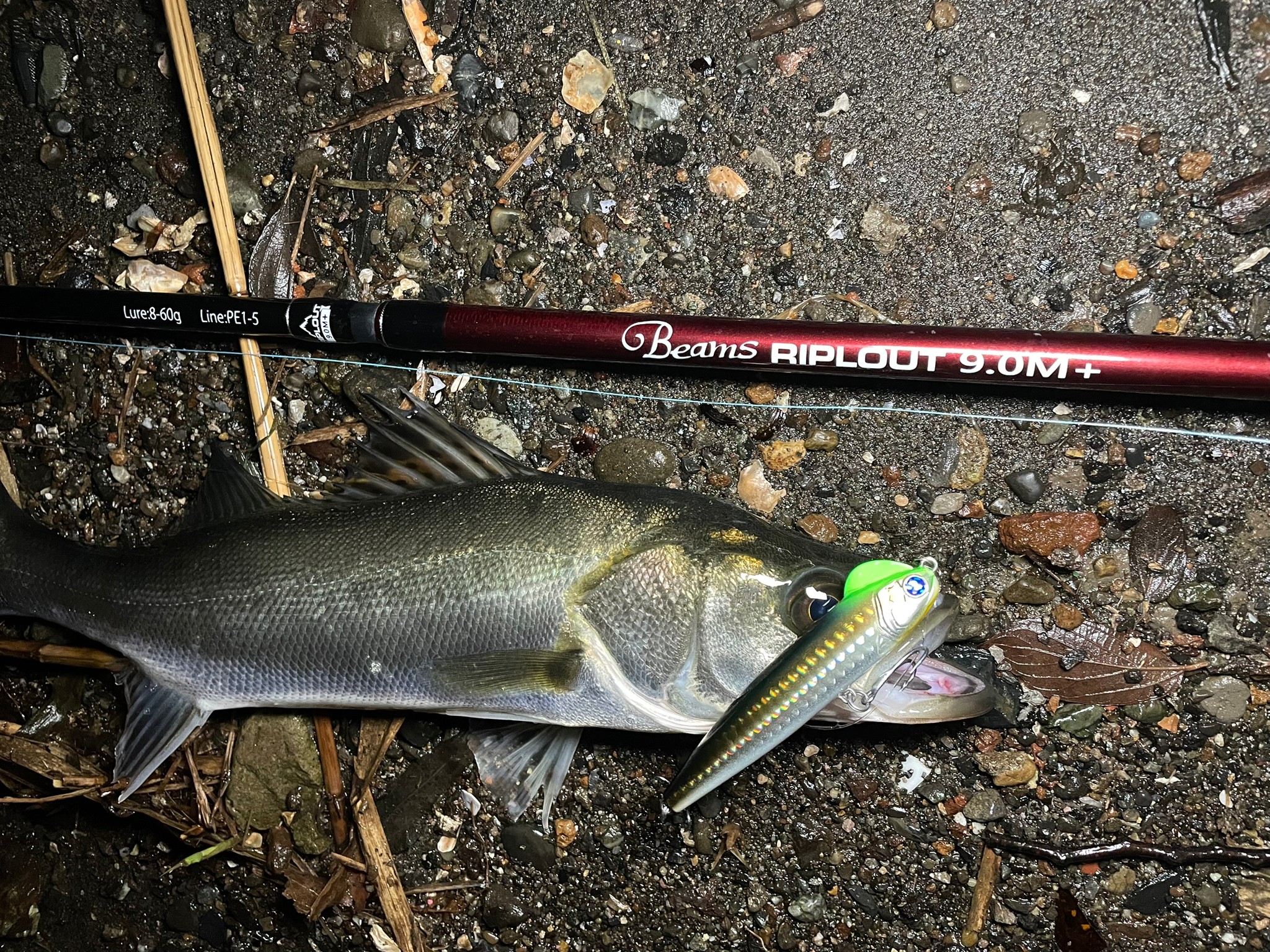Beams RIPLOUT9.0M+」を東京湾奥で投げ尽くす！ - Fishman（フィッシュ