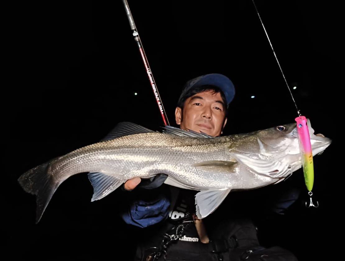 Beams RIPLOUT9.0M+ アーカイブ - Fishman（フィッシュマン）