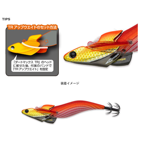 TRアップウエイト 30g – フィッシングマックス WEBSHOP