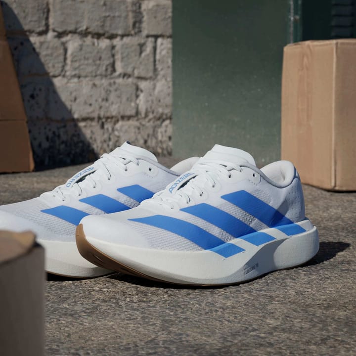 Adidas Women's Adizero Evo SL Cloud White/Blue Fusion/Off White