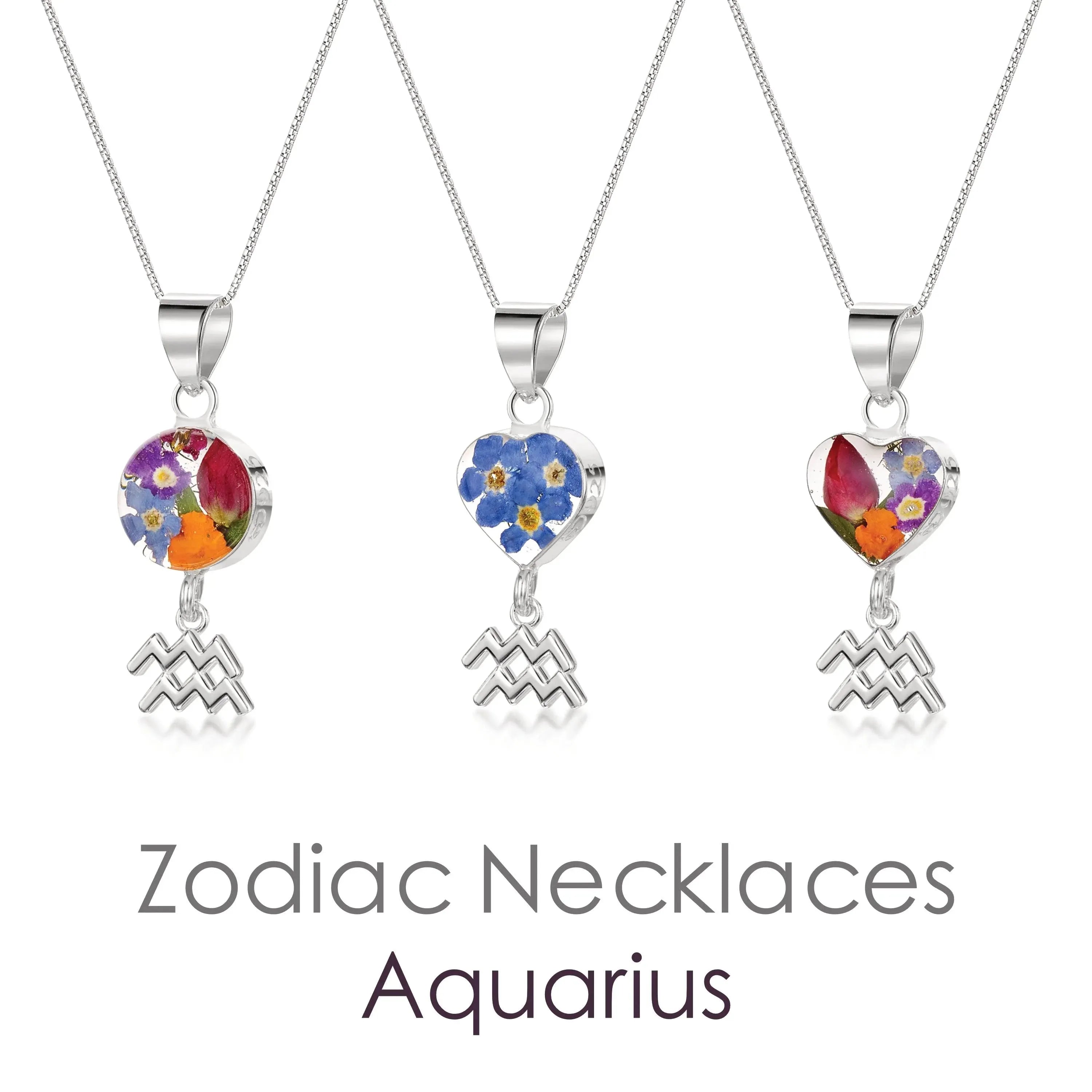 ZODIAC BEAUTIES AQUARIUS(水がめ座) 純銀 メダル ZODIAC BEAUTIES