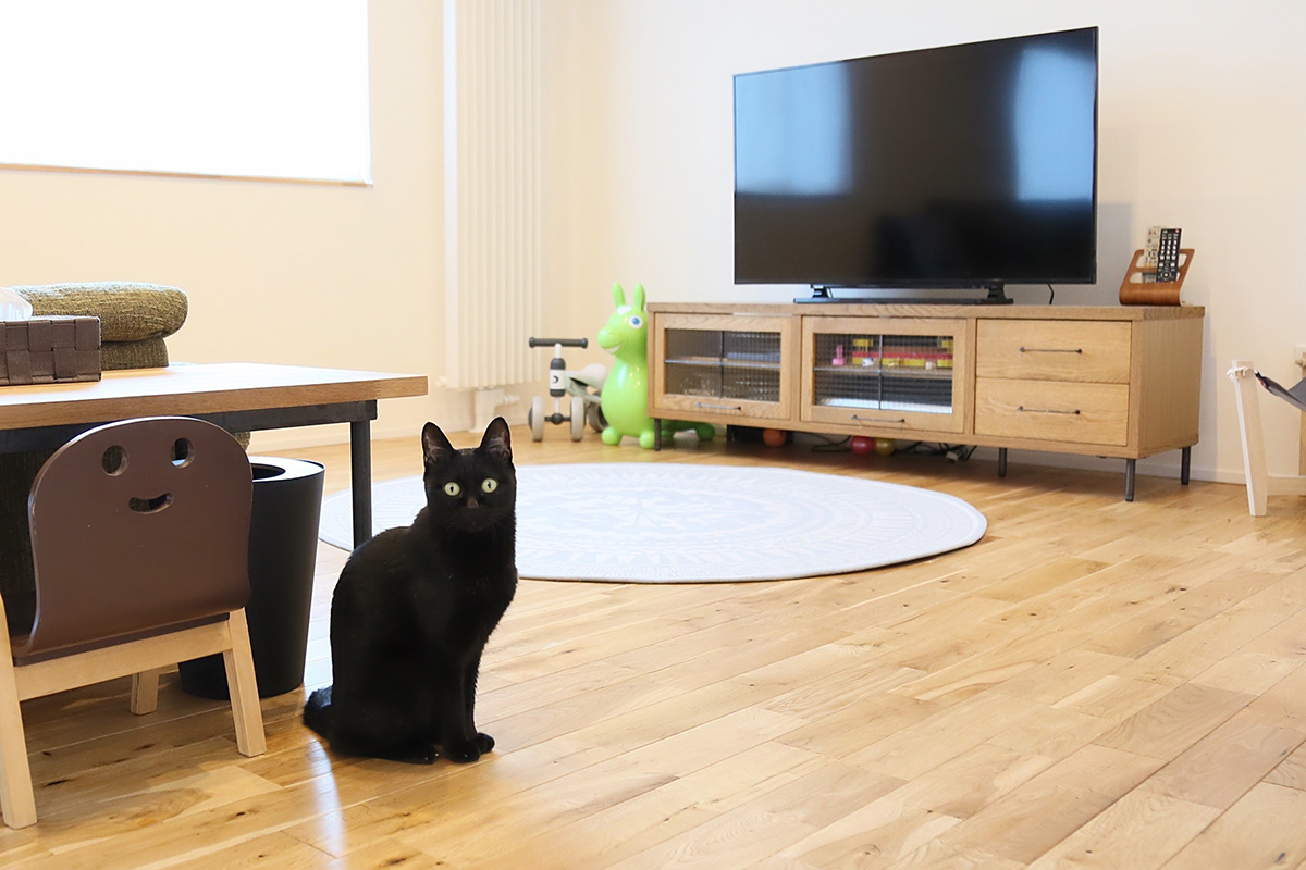 ナチュラルな木のぬくもり｜スタッフの家｜藤城建設
