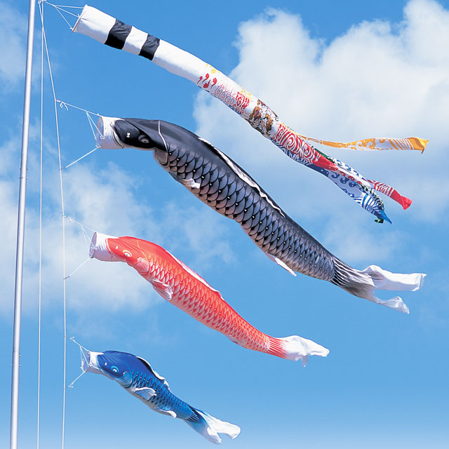 鯉のぼり大型8m 7m 6m 5m 4m カラフルな鯉のぼり 6点セット 鯉のぼり