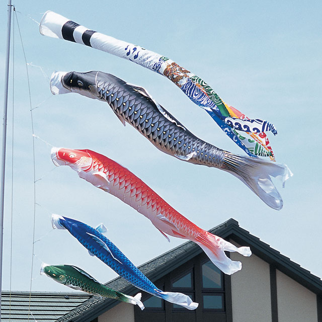 5m積美画スターゴールド鯉のぼり6点セット（ポールなし）が安い 東旭