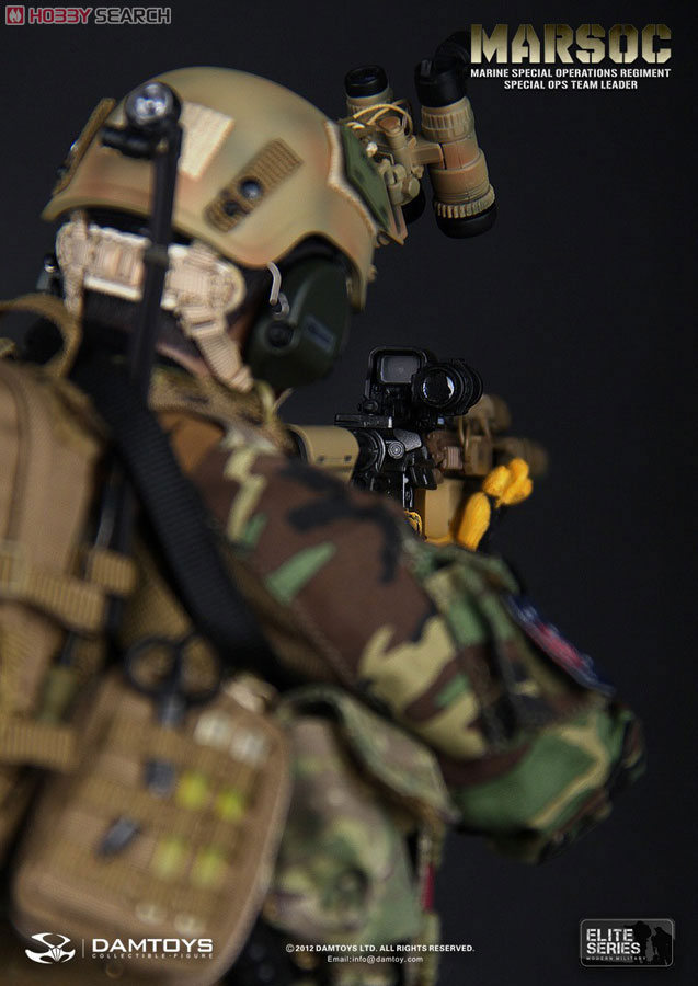 Dam Toy エリート・シリーズ 1/6アメリカ海兵隊 特殊作戦コマンド