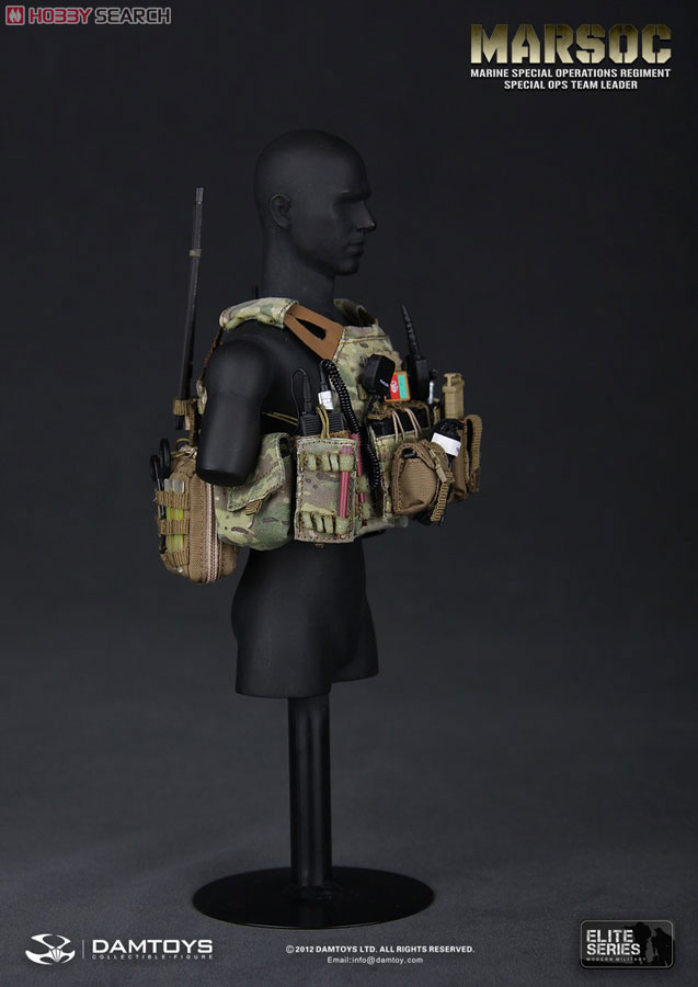 Dam Toy エリート・シリーズ 1/6アメリカ海兵隊 特殊作戦コマンド