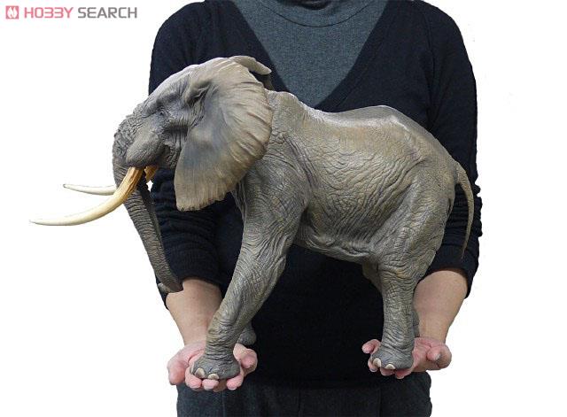 ホビーサーチブログ - 全長約45センチ！超メガ級のアフリカゾウフィギュア