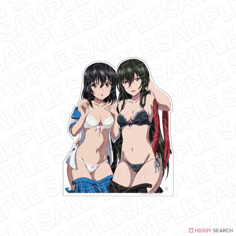 ストライク・ザ・ブラッドFINAL 特大ダイカットアクリルボード 姫柊雪